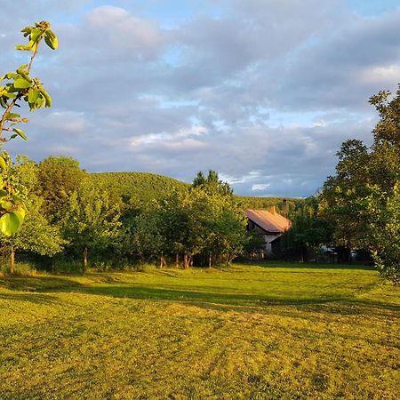 Tepke Guesthouse Garáb Kültér fotó