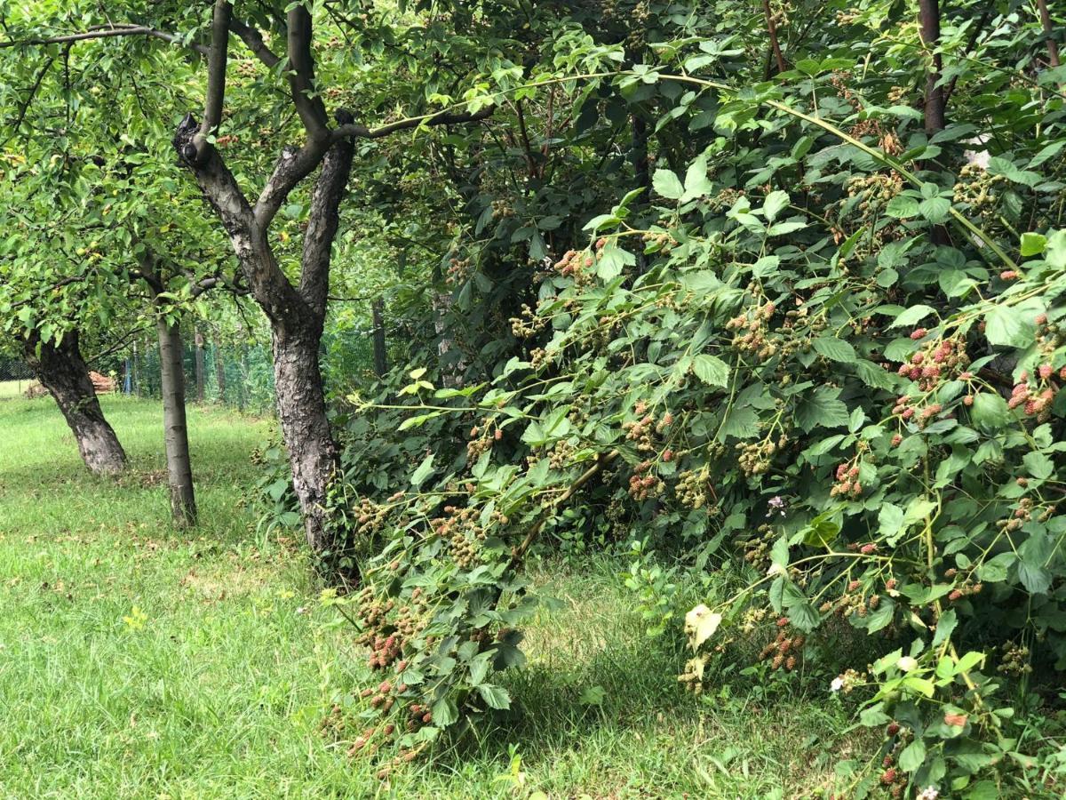 Tepke Guesthouse Garáb Kültér fotó